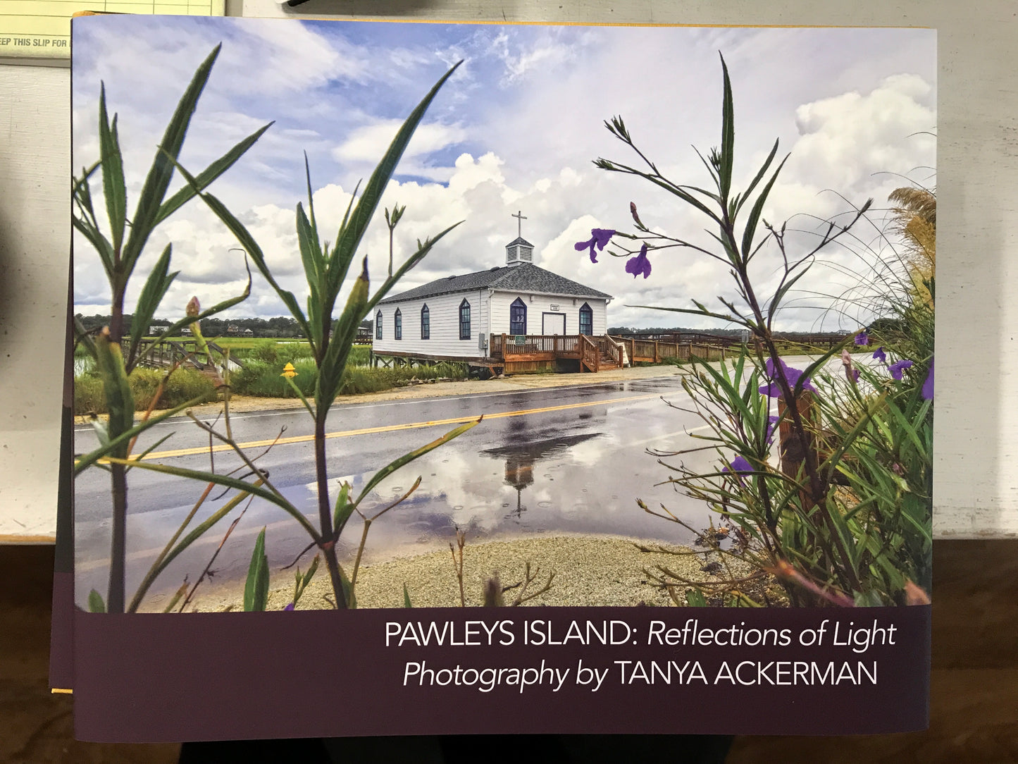 Pawleys Island: Reflections of Light