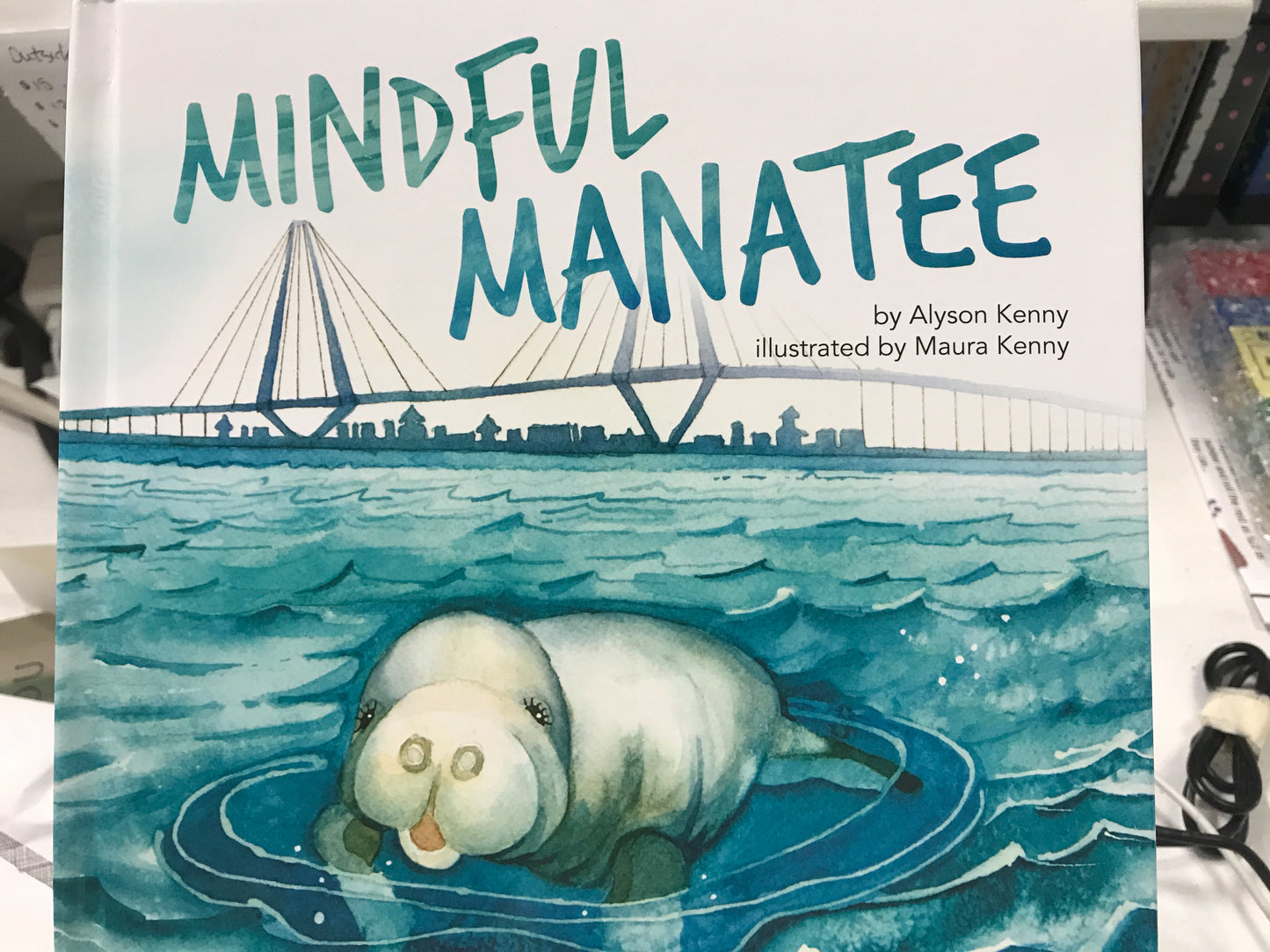 Mindful Manatee
