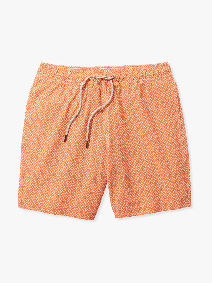 The Bayberry Trunk