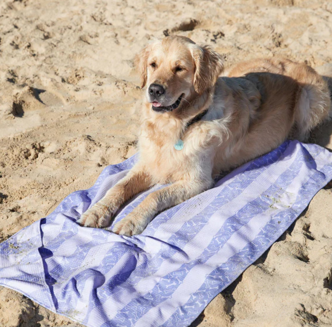 Dog and Bay Towels for your pets