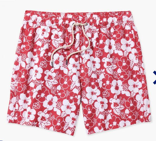 The Bayberry Trunk