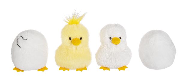 Chicken Learn and Grow