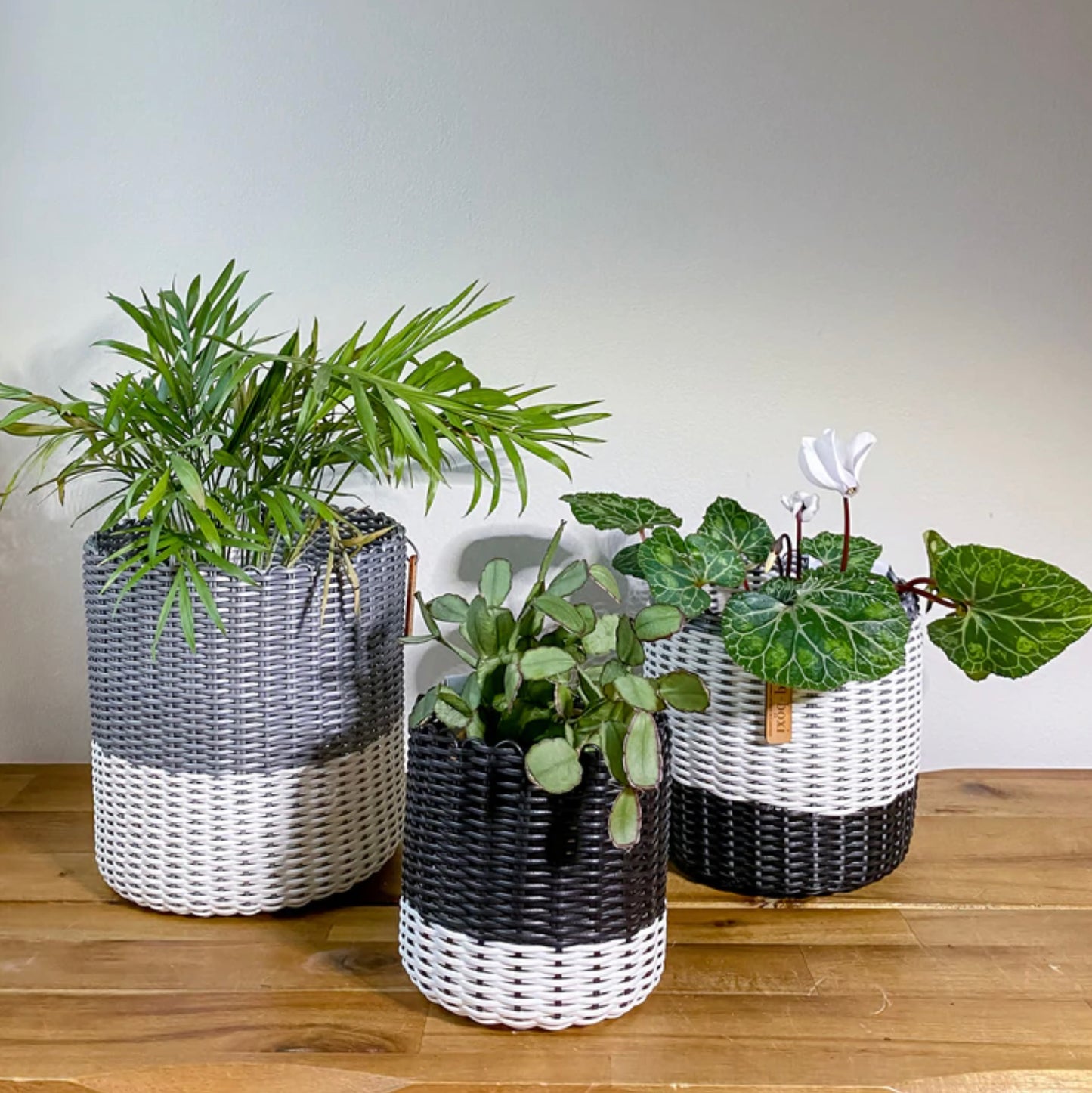 Ixöq Planters