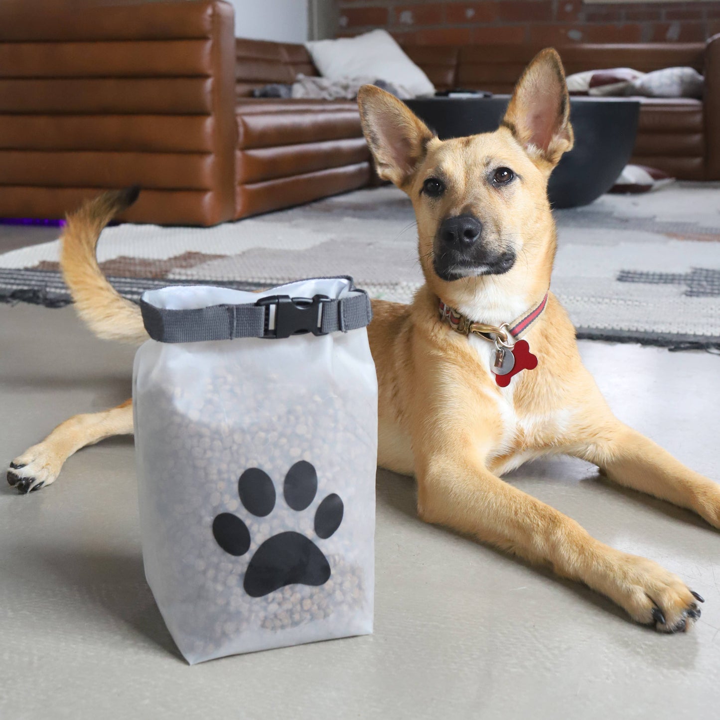 Rezip Co. - Reusable Roll Top Pet Food Storage Bag - Medium