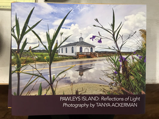 Pawleys Island: Reflections of Light