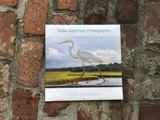 Chasing the Light 2026 Calendars
