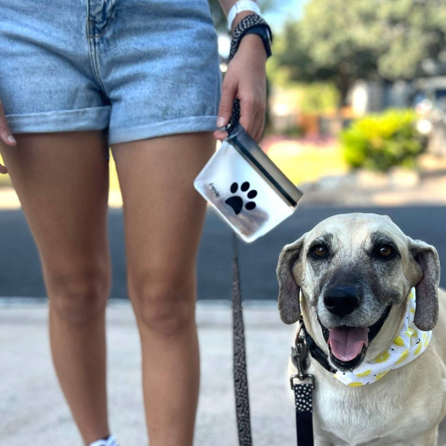 Rezip Co. - Take Me Too Pet Bag