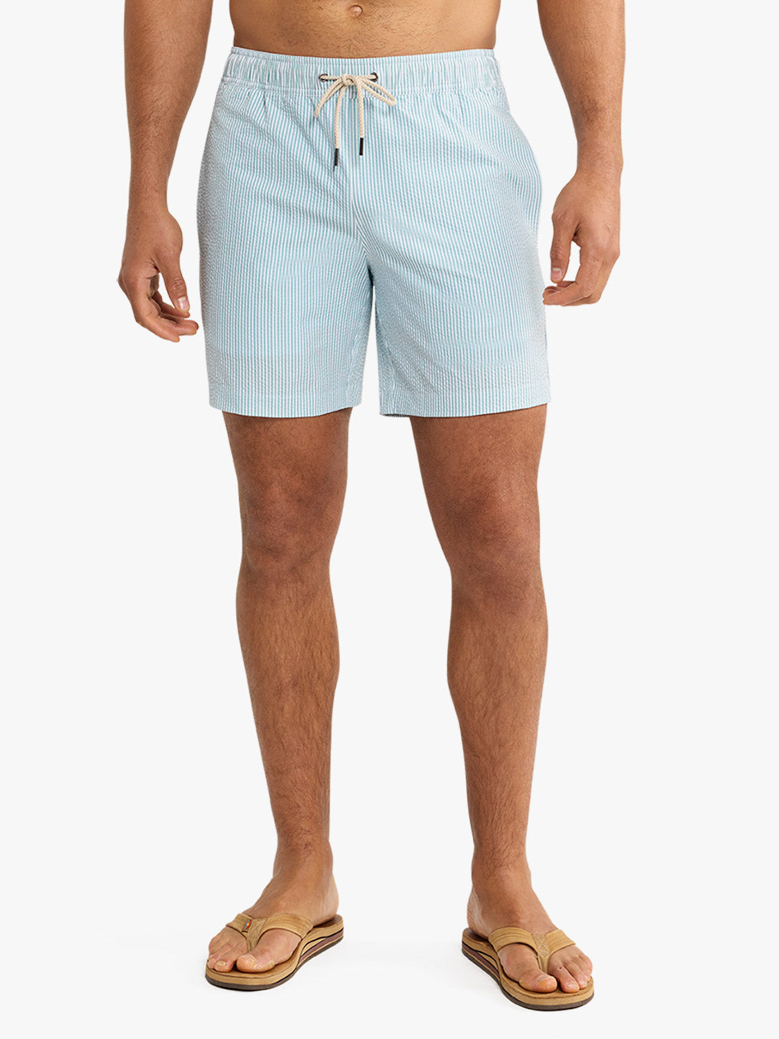 The Bayberry Trunk