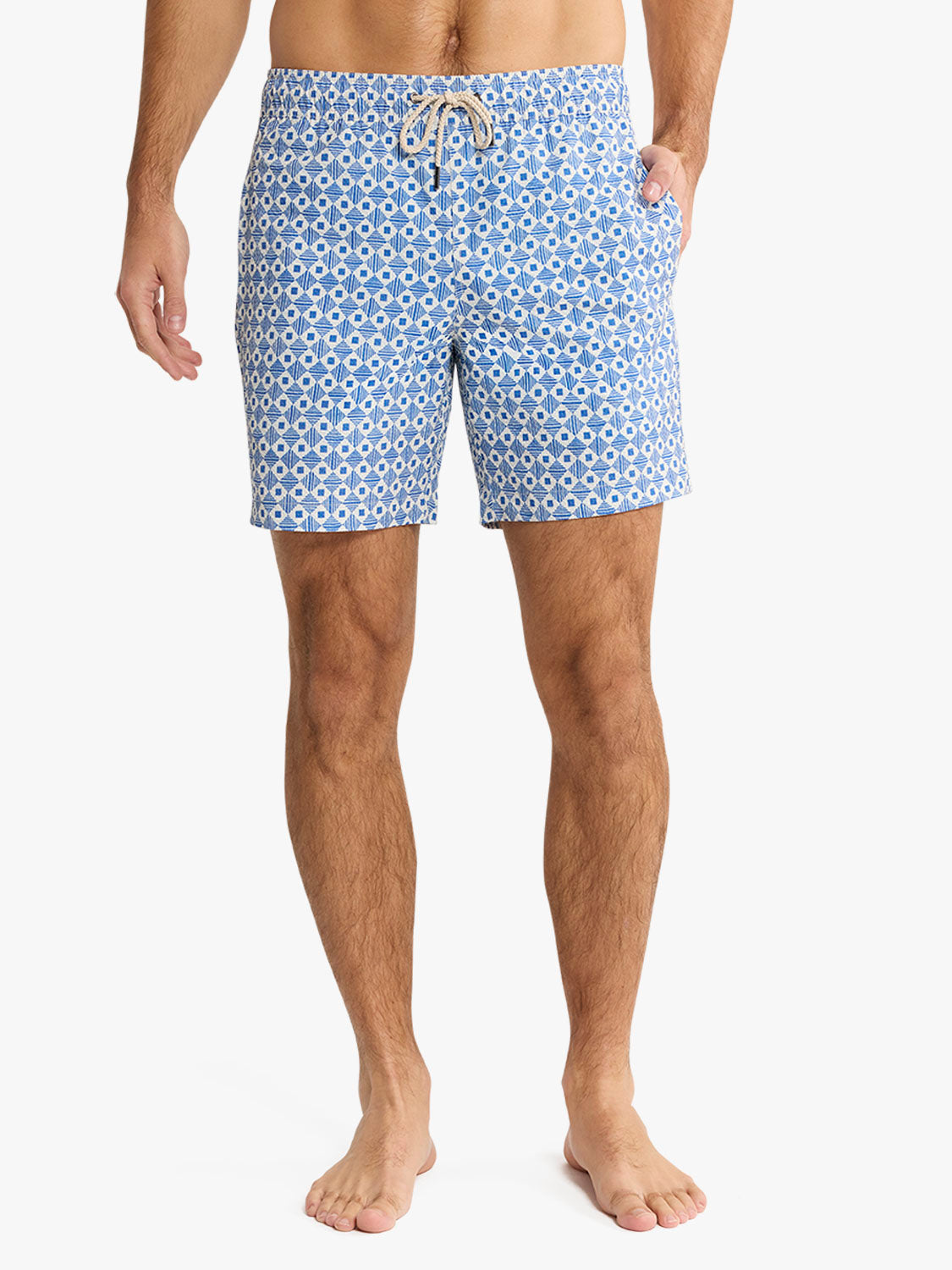 The Bayberry Trunk