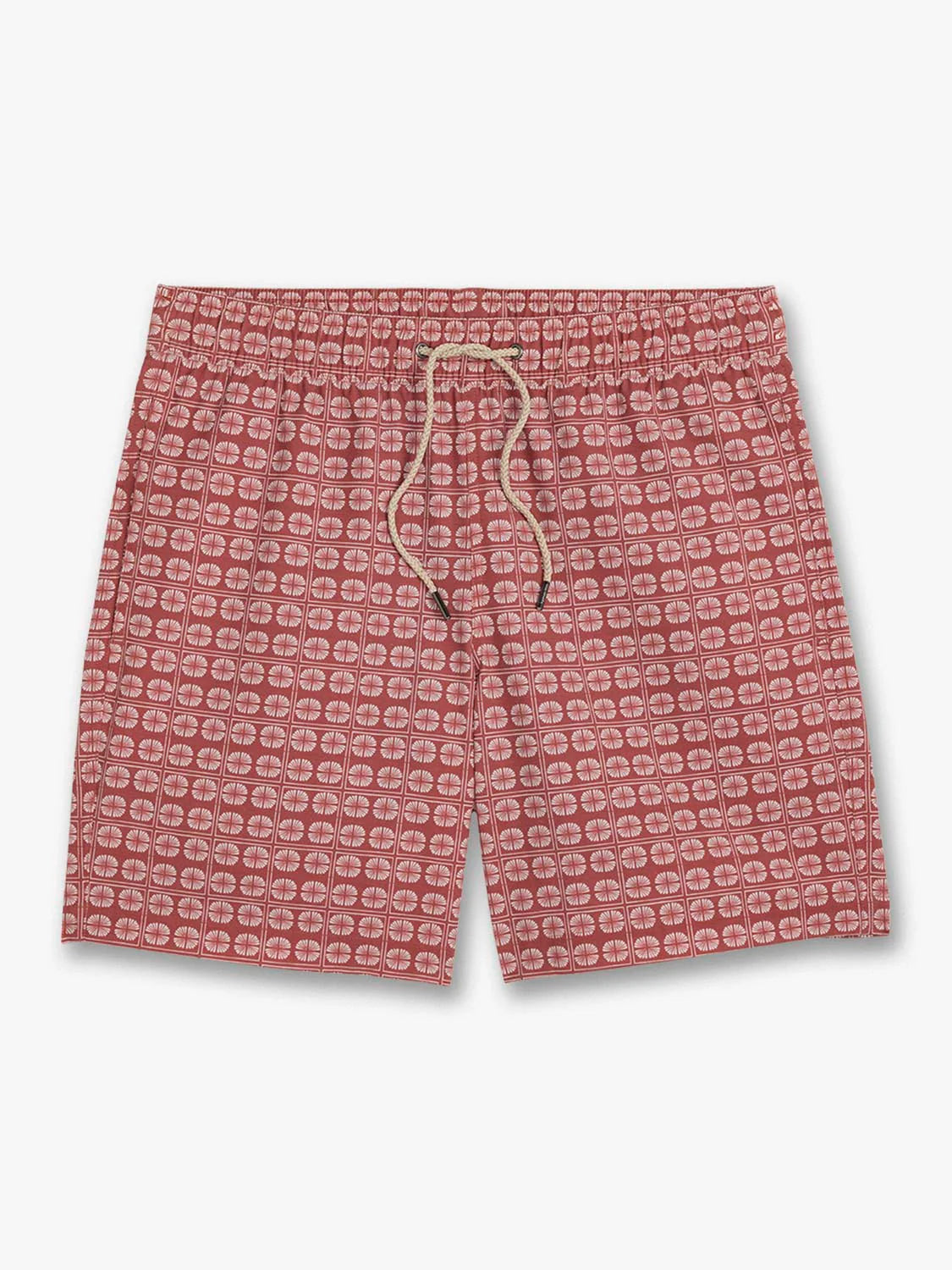 The Bayberry Trunk