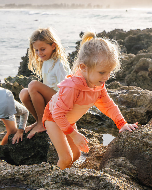 Toddler Colorblock Bamboo Shade Hoodie