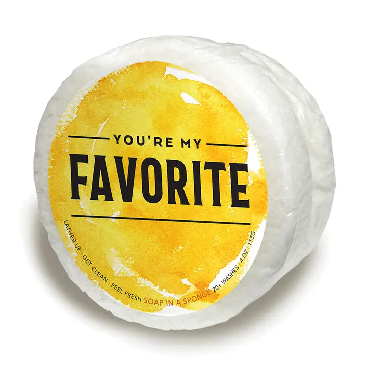 Soap in a Sponge