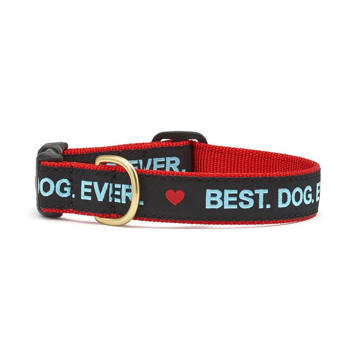 Up Country Dog Collar